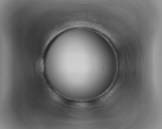 X0000113911509200909241459