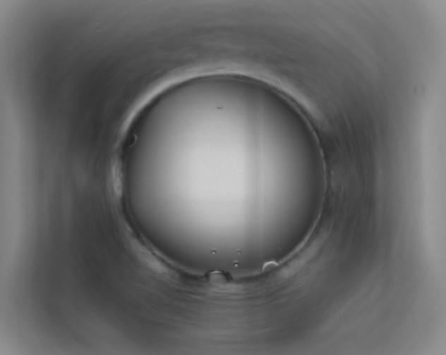 X0000113911510200909241459