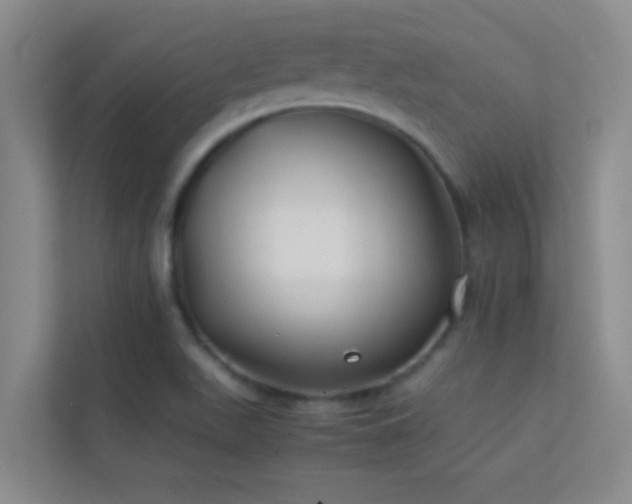 X0000113911511200909241459