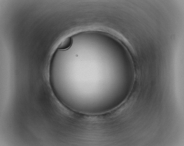 X0000113911512200909241459