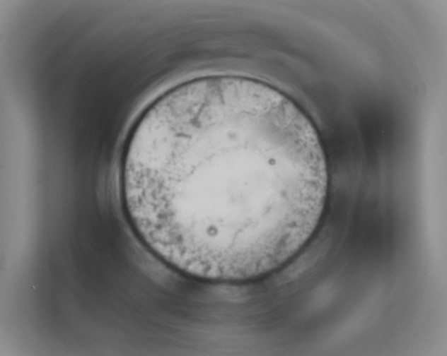 X0000113911514200909241459