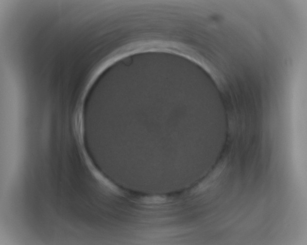 X0000113911515200909241459