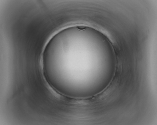 X0000113911516200909241459