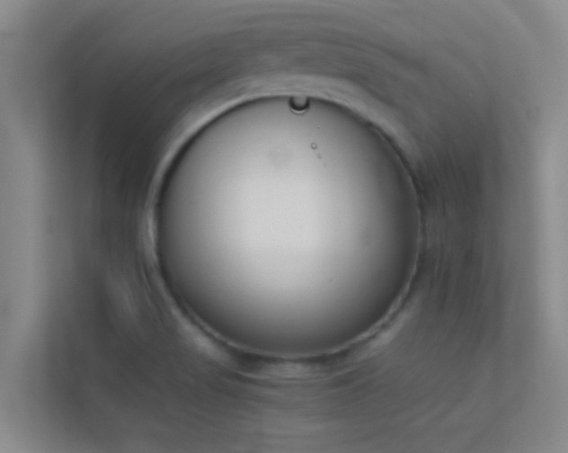 X0000113911517200909241459