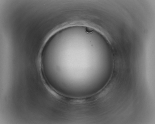 X0000113911519200909241459