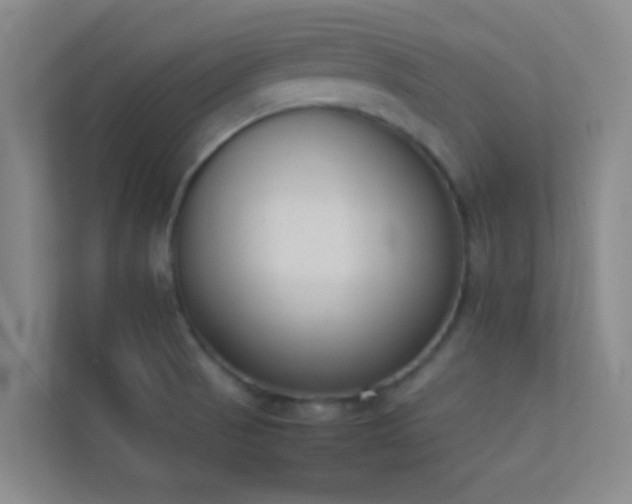 X0000113911521200909241459