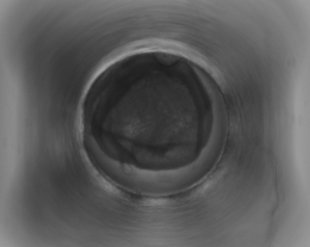 X0000113911522200909241459