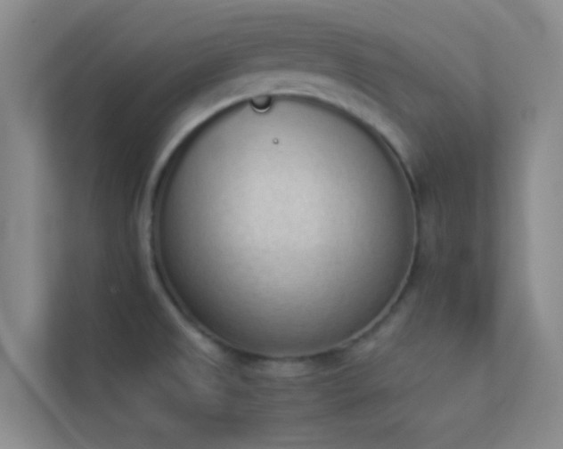 X0000113911525200909241459