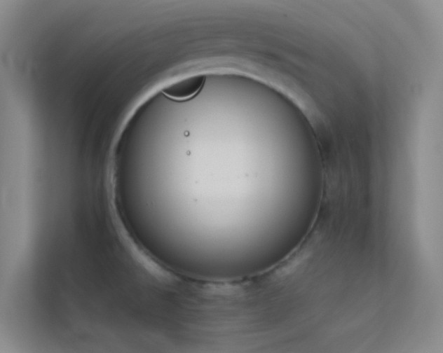 X0000113911526200909241459
