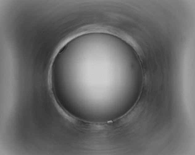 X0000113911528200909241459