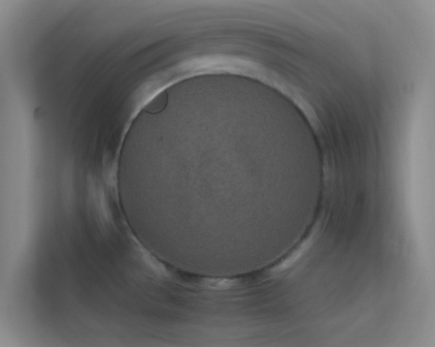 X0000113911529200909241459
