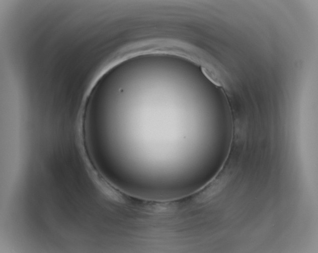 X0000113911530200909241459