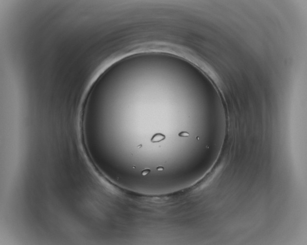 X0000113911533200909241459