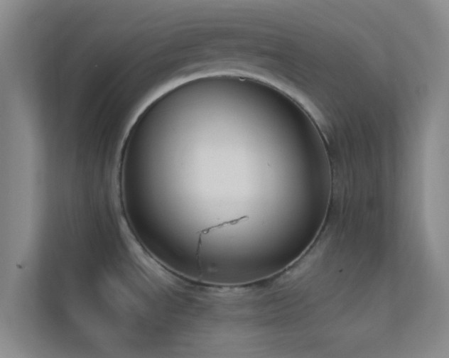 X0000113911534200909241459