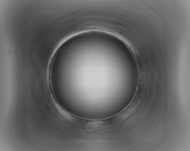 X0000113911535200909241459