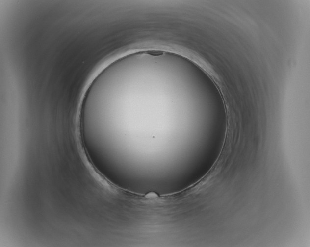 X0000113911536200909241459