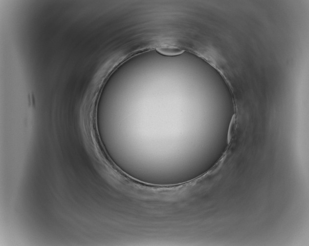 X0000113910001200910011458