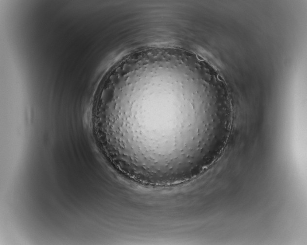 X0000113910002200910011458