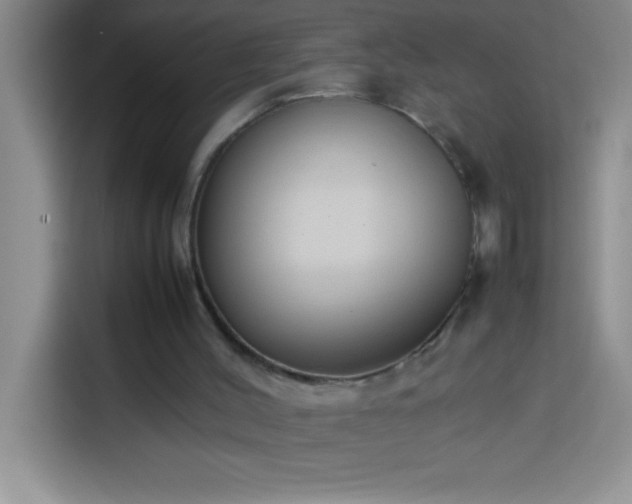 X0000113910004200910011458