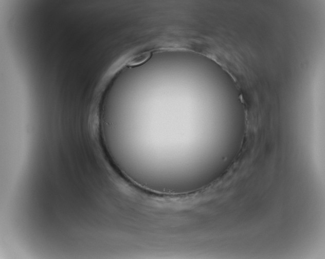 X0000113910005200910011458