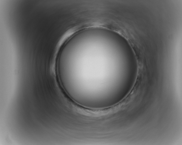 X0000113910006200910011458