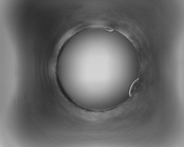 X0000113910007200910011458