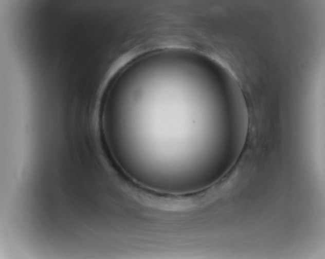 X0000113910008200910011458