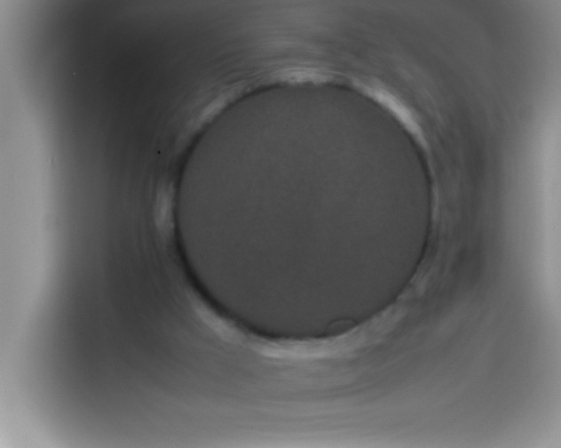 X0000113910009200910011458