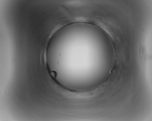 X0000113910011200910011458