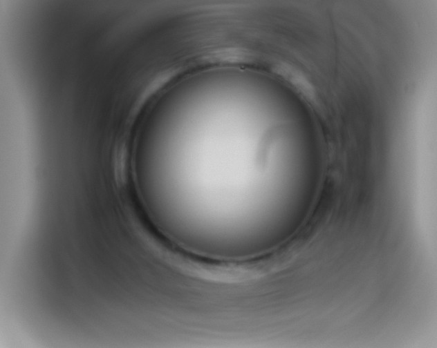 X0000113910012200910011458