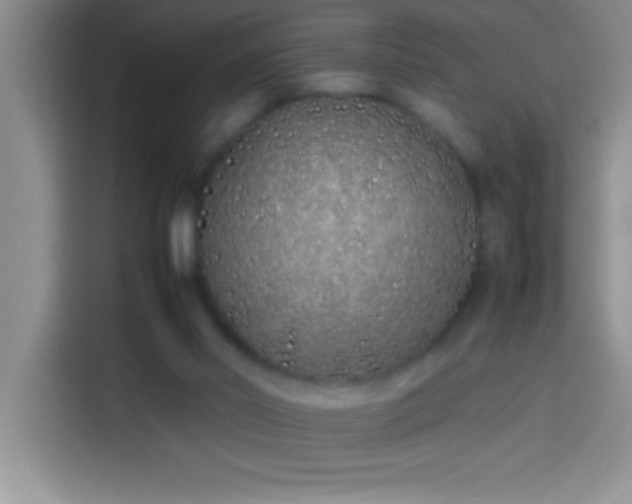 X0000113910014200910011458