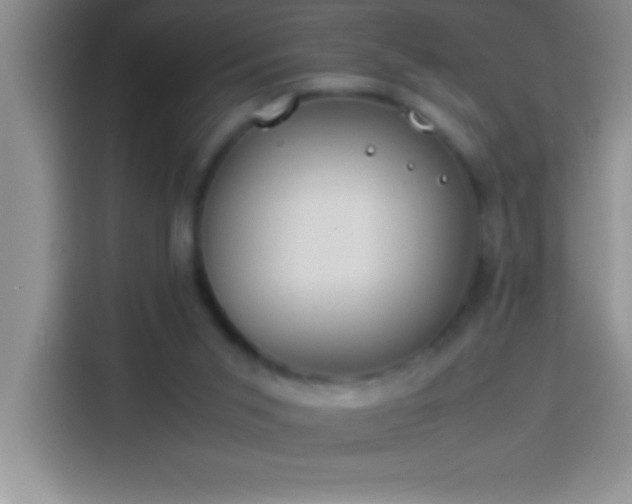 X0000113910015200910011458