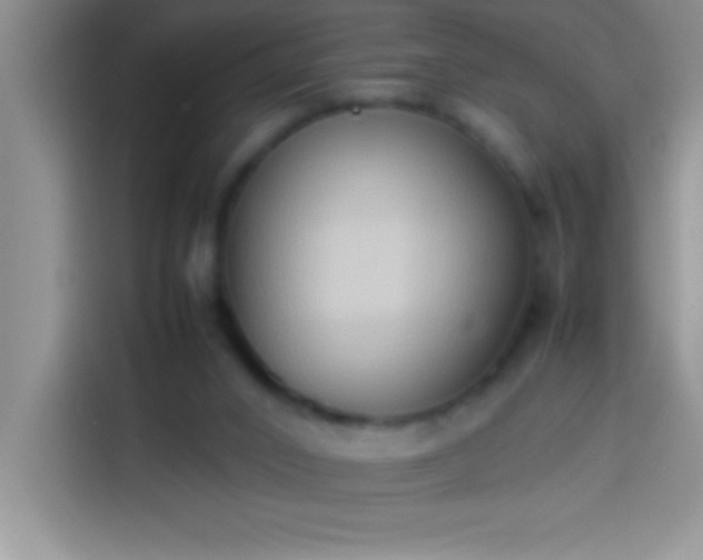 X0000113910016200910011458