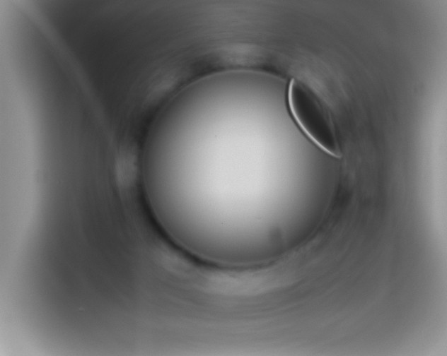 X0000113910017200910011458