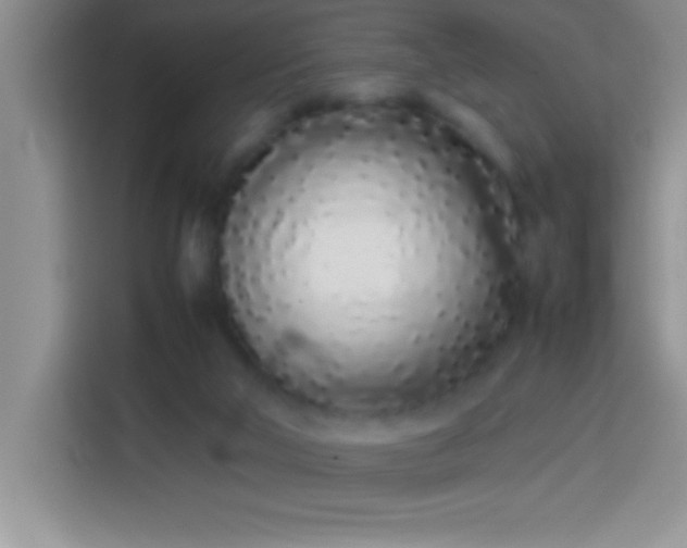 X0000113910018200910011458