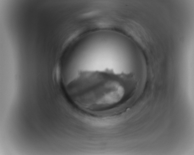 X0000113910019200910011458