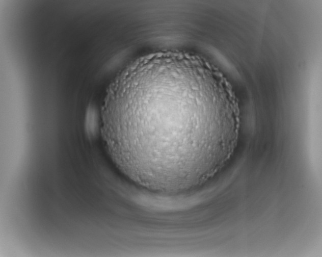 X0000113910022200910011458