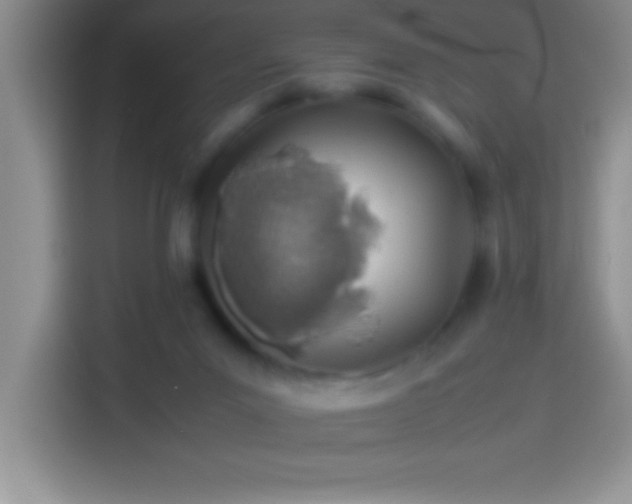 X0000113910023200910011458