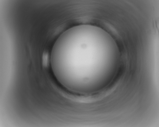 X0000113910024200910011458