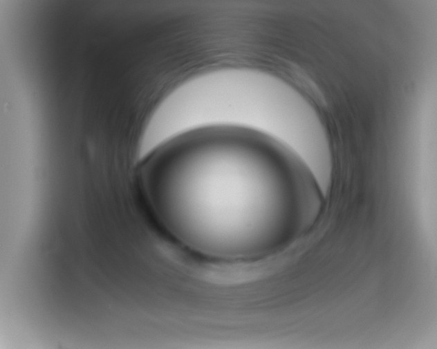 X0000113910025200910011458