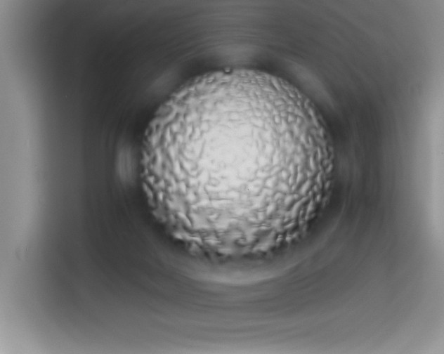 X0000113910026200910011458