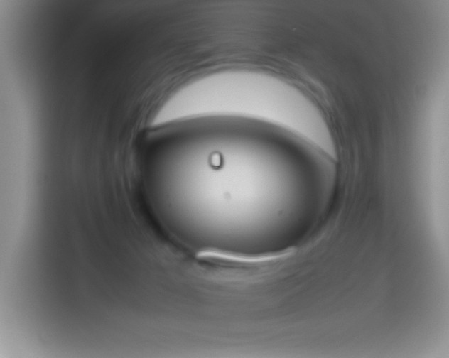 X0000113910029200910011458