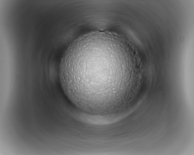 X0000113910030200910011458