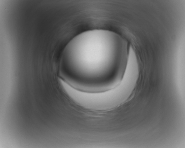 X0000113910033200910011457