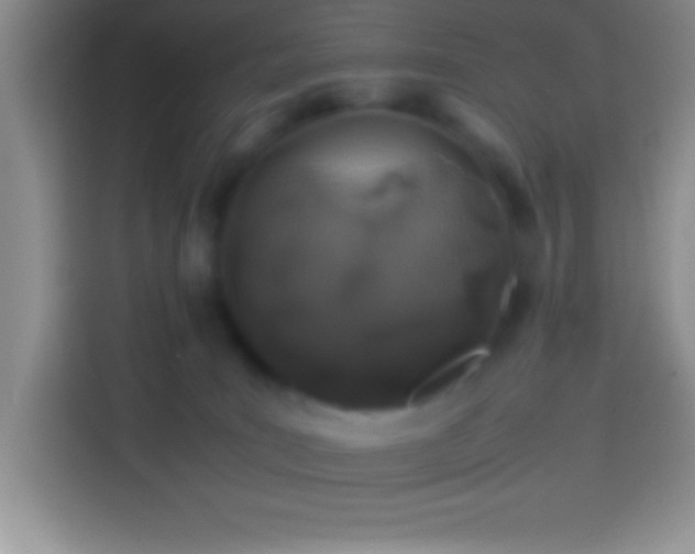 X0000113910035200910011457