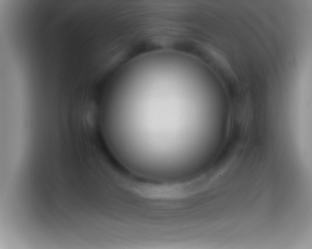 X0000113910036200910011457