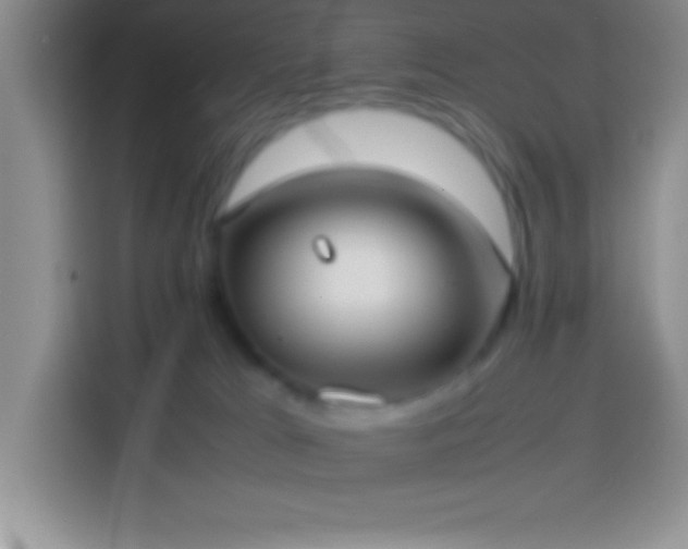 X0000113910037200910011457