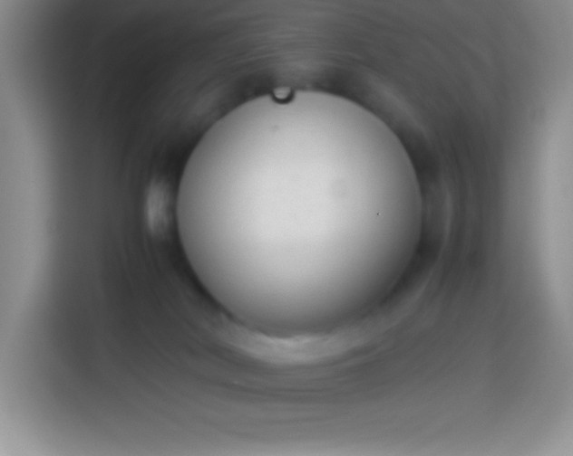 X0000113910038200910011457