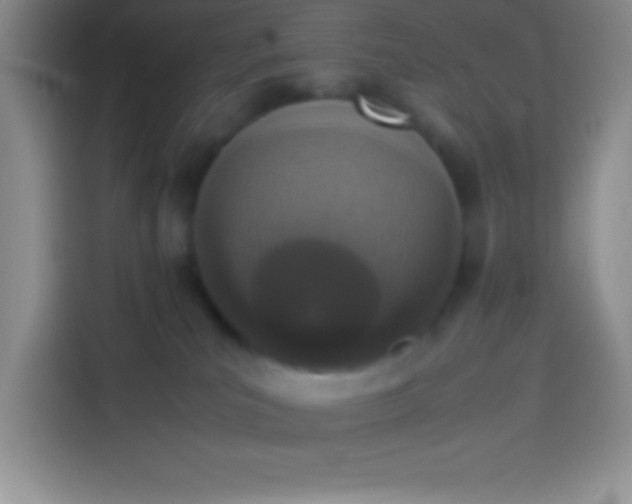 X0000113910039200910011457