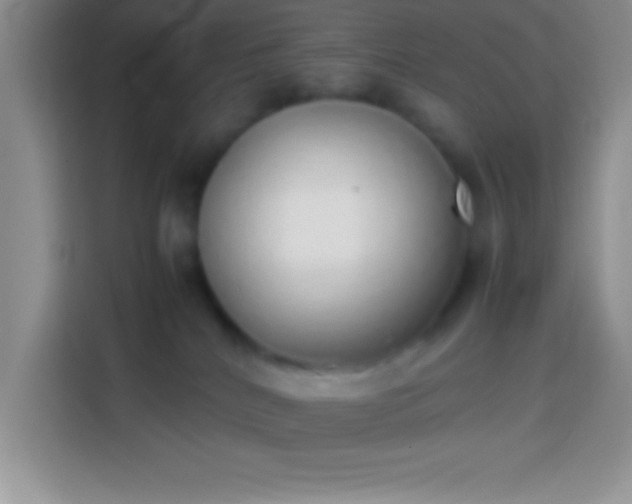 X0000113910040200910011457